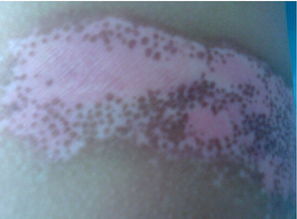 °×ñ°·çͼƬ °×ñ°·çͼƬ